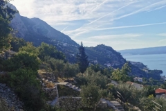 WhatsApp-Image-2022-10-19-at-07.45.20-1