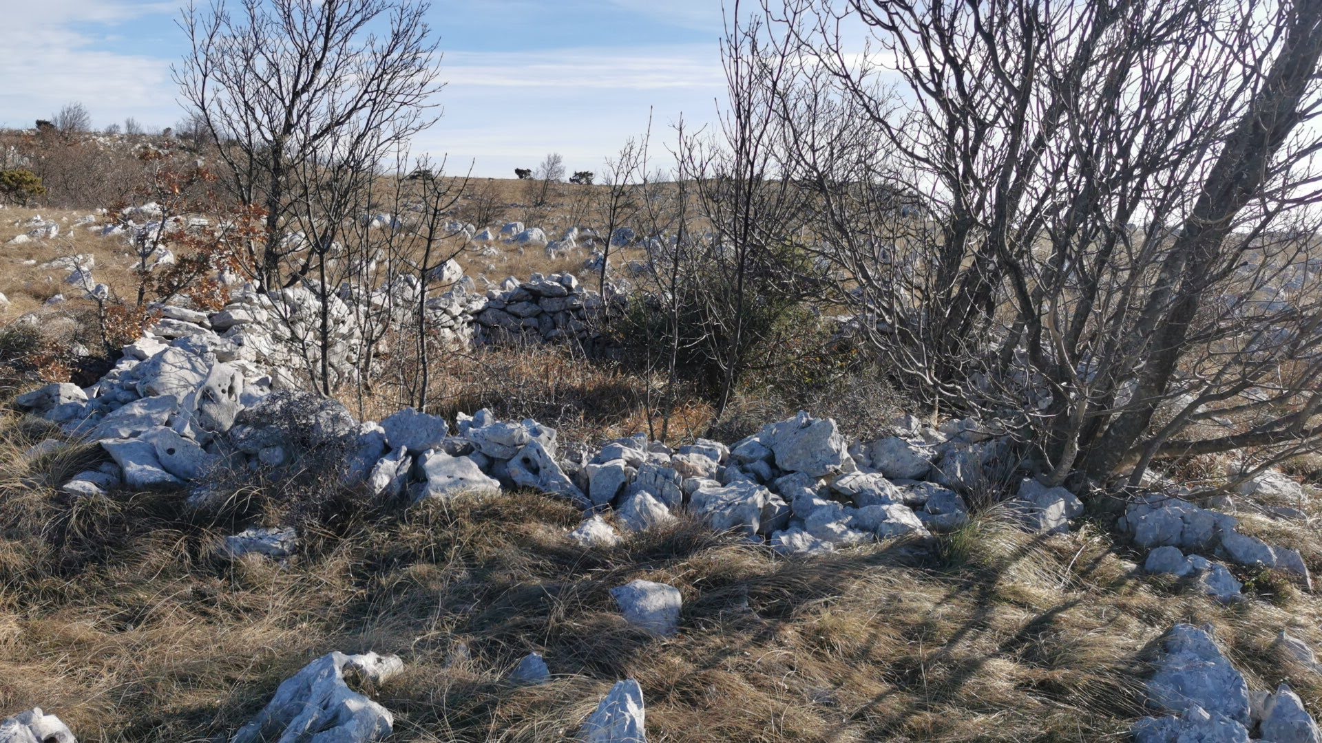 Dolac_2