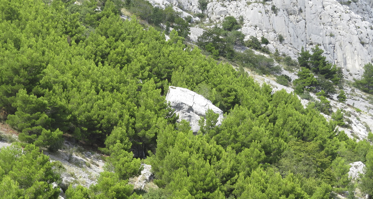 Kuk Kraljevića Marka