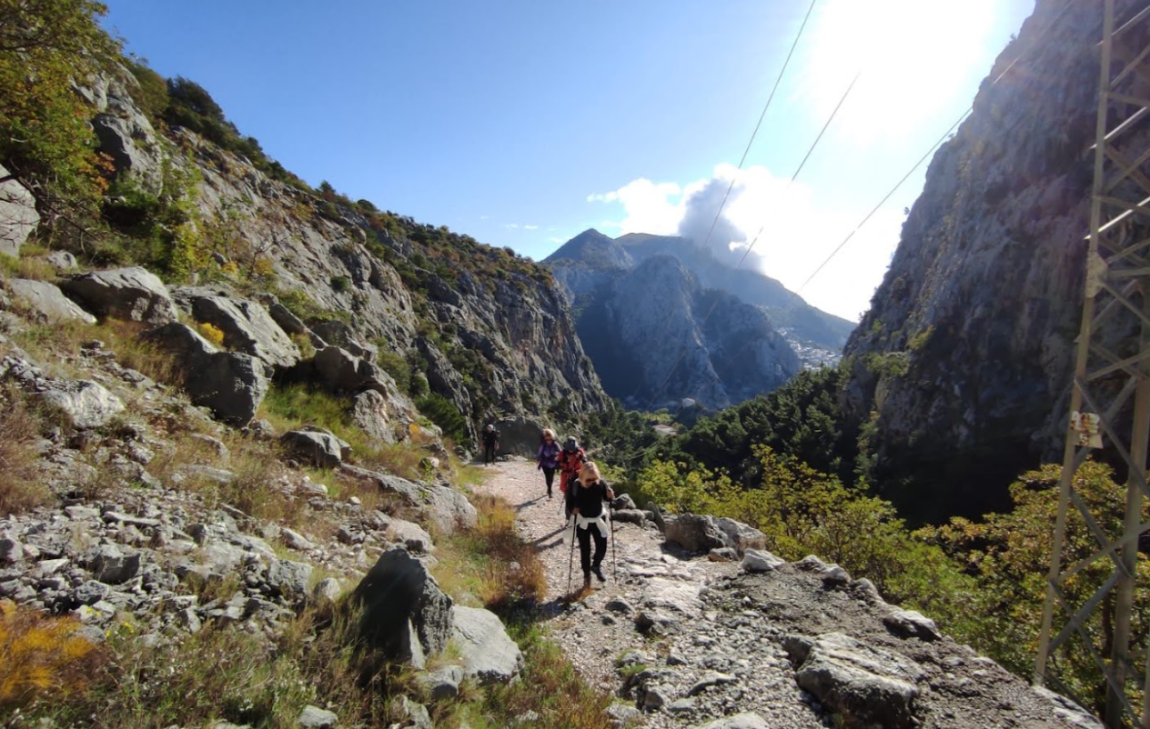 Lisičina