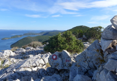 Dugi Otok - Orljak