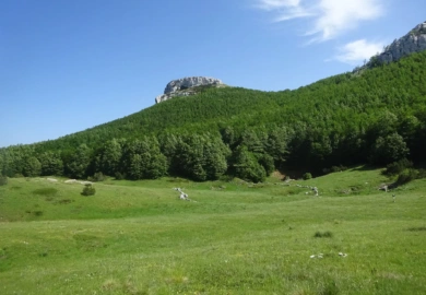 Kuretgića Dolac Kamešnica